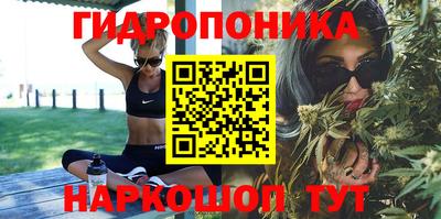 стаф Ставрополь