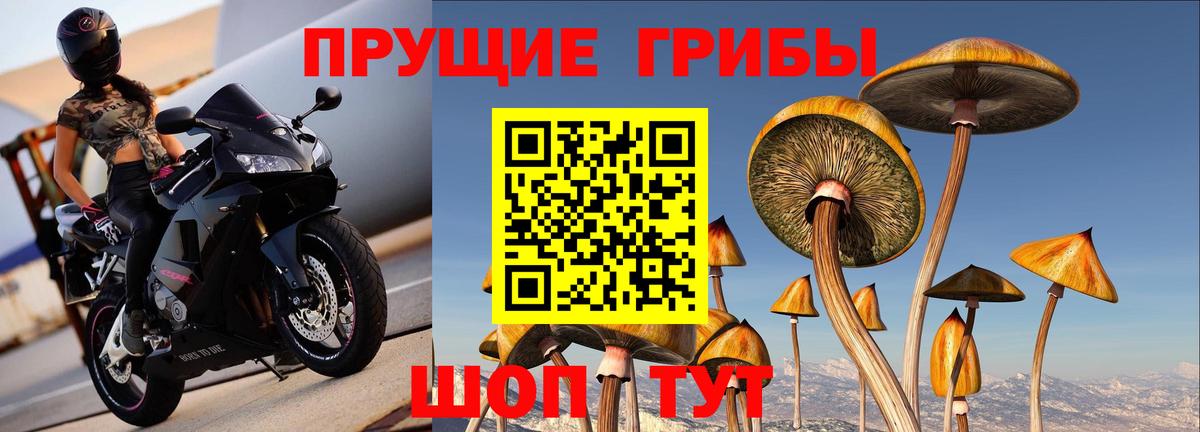 Галлюциногенные грибы мухоморы  Вход с VPN  Похвистнево 